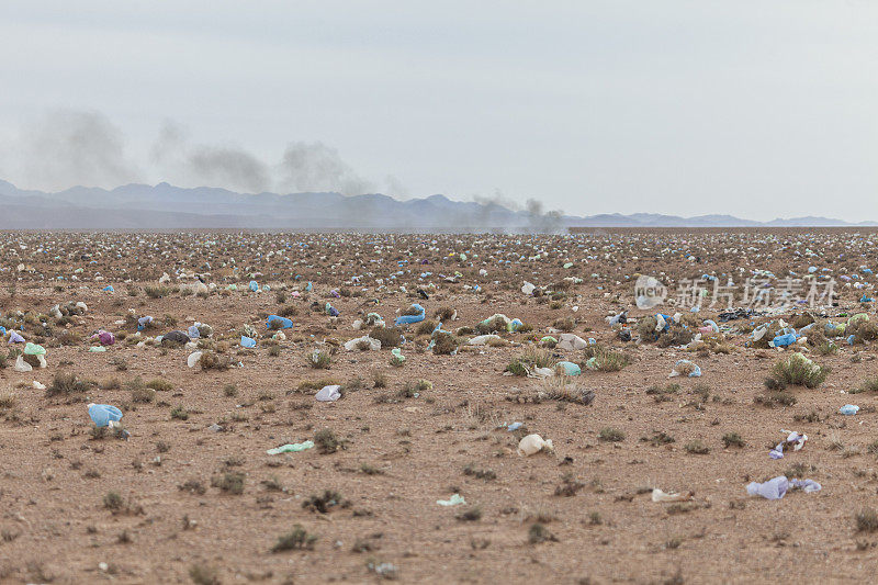 Pollution caused by plastic bags blowing from town rubbish dump